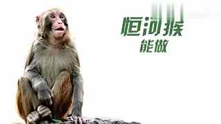 每日大赛 +mrds 形成积极的学习社区