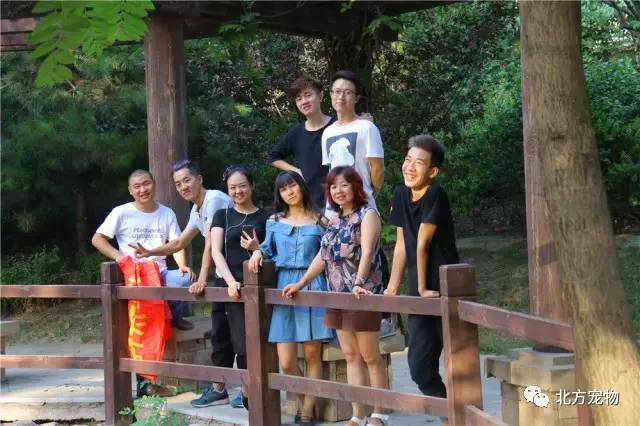 九一短视频在线观看