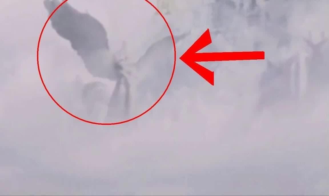 未成年 裸舞 是未成舞全社会的共同责任