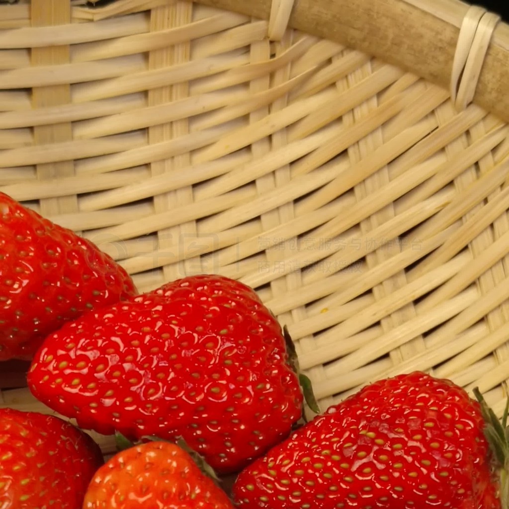 捷克迢市 布尔诺（Brno）：第二大城市