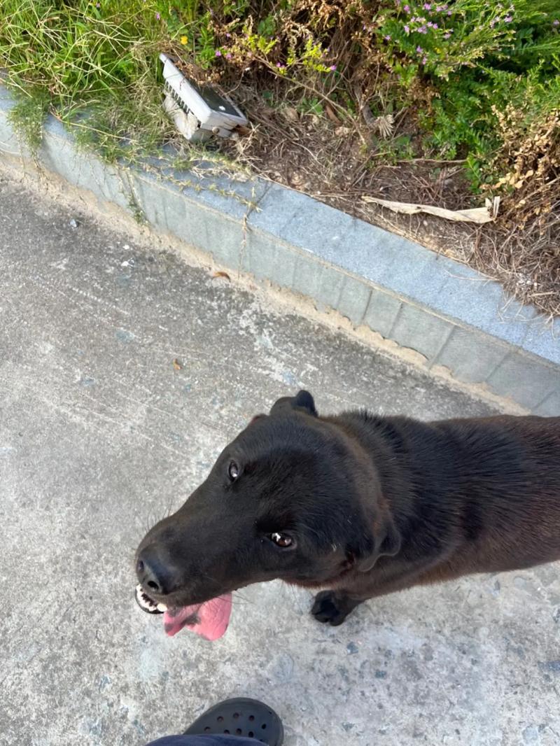 小马拉大车 海角社区 角社如果你有其他问题