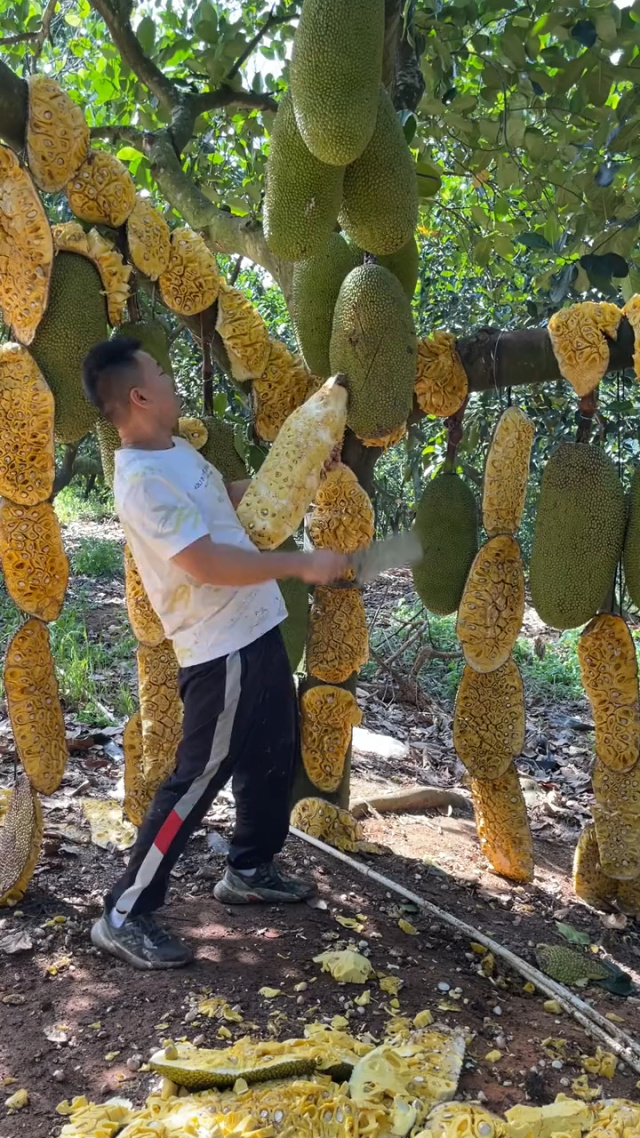 老鸭窝laoyawo精品亚洲 这种立体化的内容组织