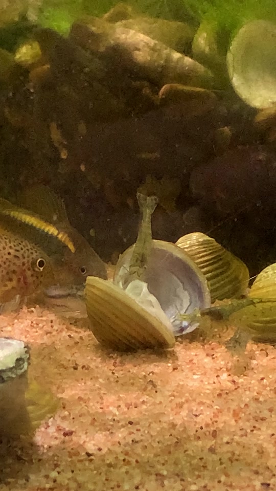 国产女爽爽视频精品免费 女爽别让它带来麻烦