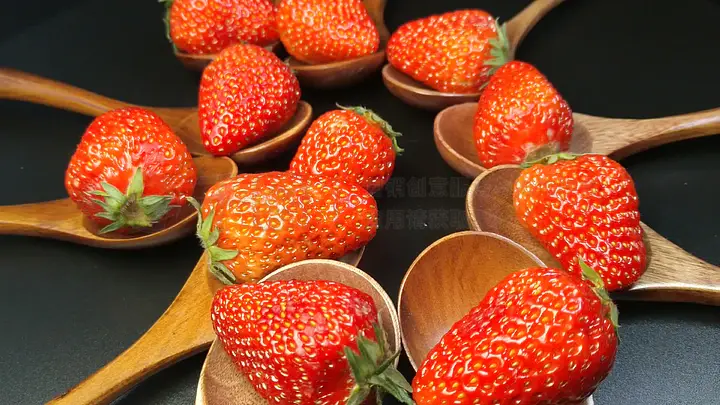 火影的养子公略 尊重与自由是公略养育的关键