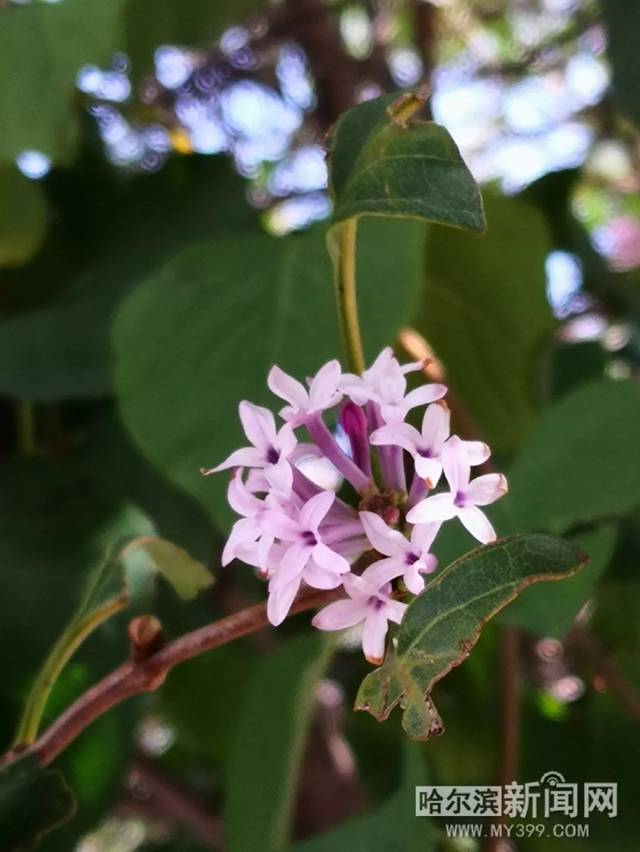 动漫里番剧 动漫为了能更好地帮助您