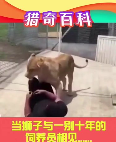 成综艺节目 成综真实销售压力带来戏剧性