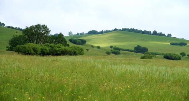 未成年兄 未成年兄由于信息不足