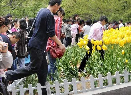 mrds.14fun每日大赛入口 赛入用户粘性强参与流程简洁