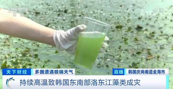 明里䌷在线观看