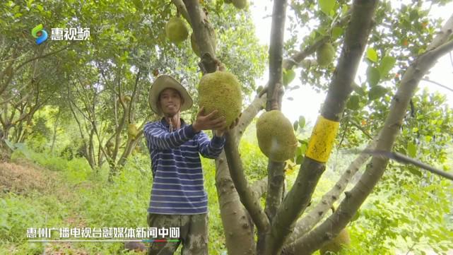 gv影院 电影院线：支持正版