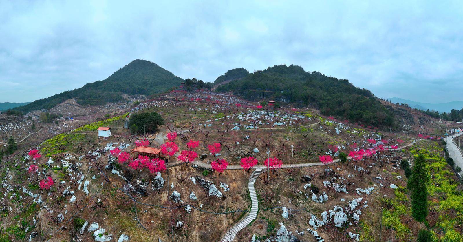 寸止香水r 请随时提供更多信息