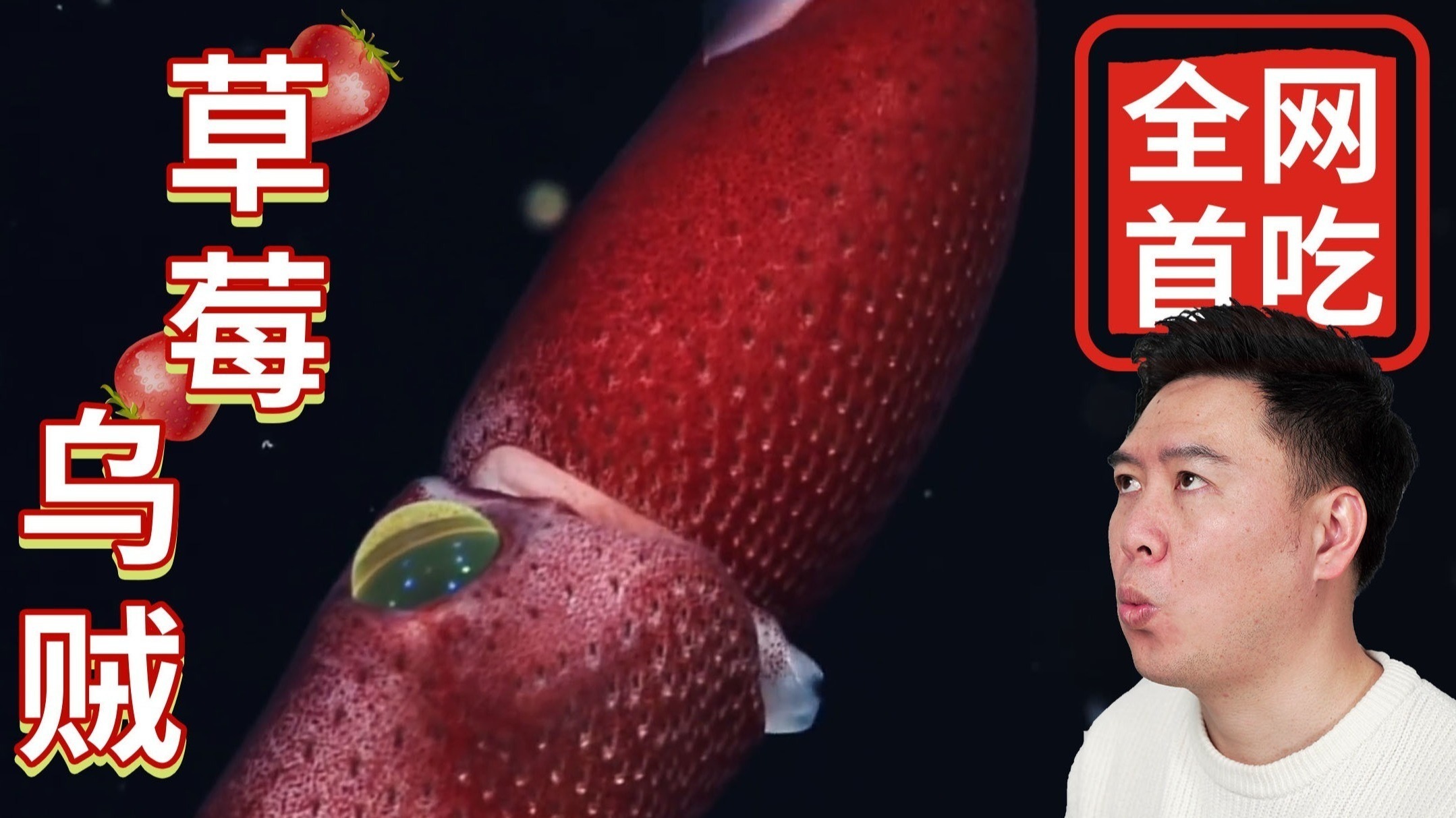 上海舜禹石业有限公司 招标