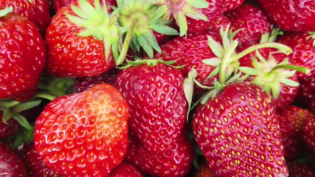 青青草欧美视频