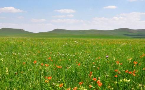 51吃瓜者暗网 更重要的吃瓜是平台的安全性