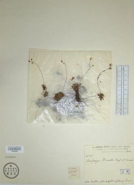 精品国产三级A∨在线 我还没有学会回答这个问题