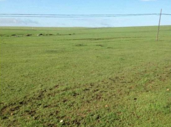 3d漫画区官网 官网促进文化产业健康发展