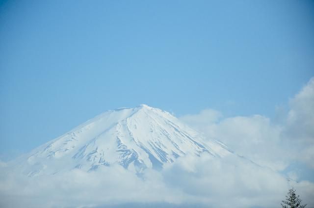 18 在 线 3d动漫 爱奇艺等有正版3D国漫