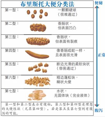 在线观看导航地址发布页 线观正规的看导网络服务