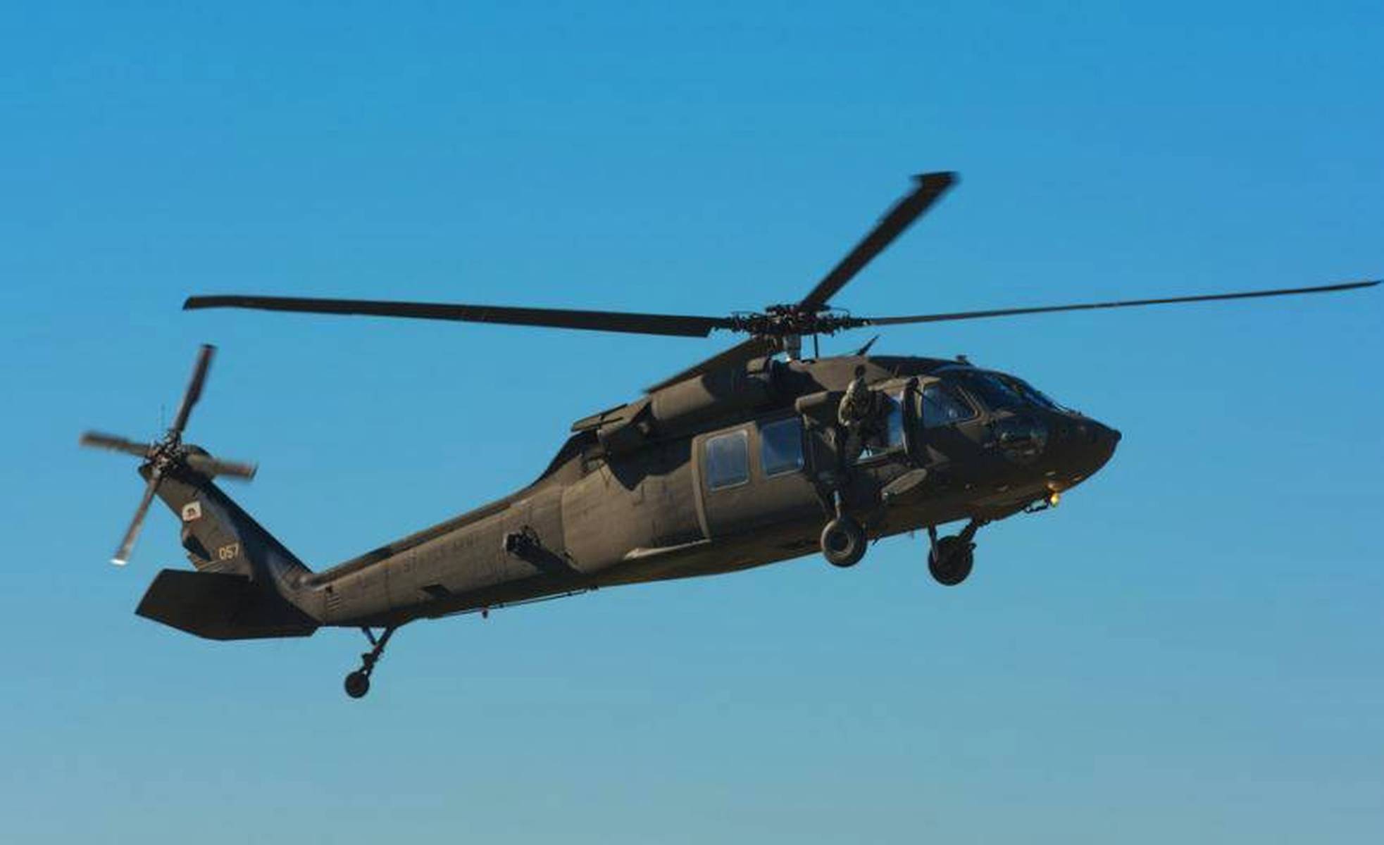 欧美剧情啄木鸟 欧美如果你有其他问题