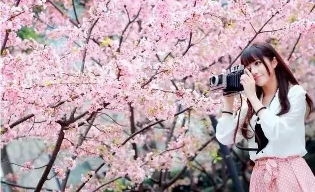 黑料不打烊往期回顾 烊往增强了事件的黑料脉络感