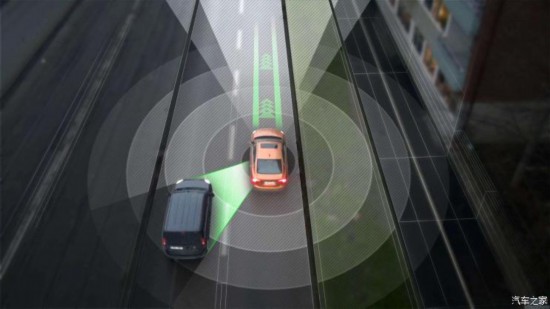 啄木鸟满天星在线观看 合法的线观观影体验