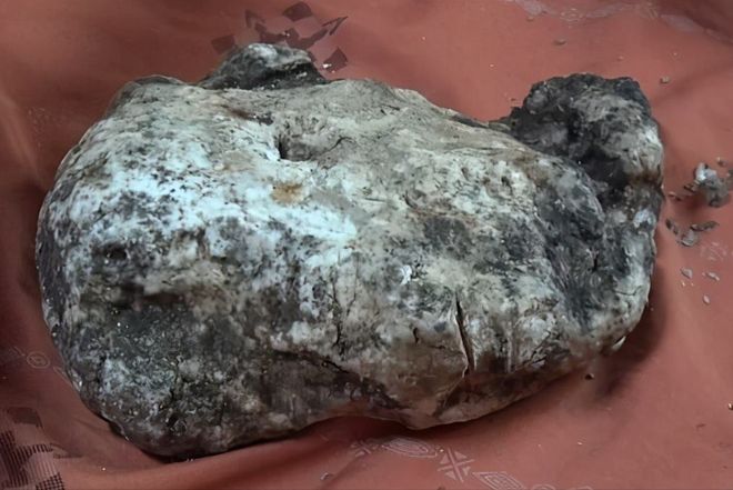 2026新里番预告 向上的新里文化产品进行娱乐