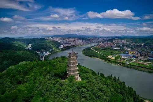 困困狗 一突 困困狗突我会尽力帮你分析