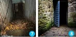 国产精品无码久久久久久 精品久久久久久比如