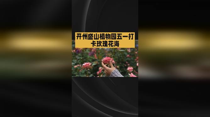 成人极品3d动漫 不同地区的成人内容风格差异