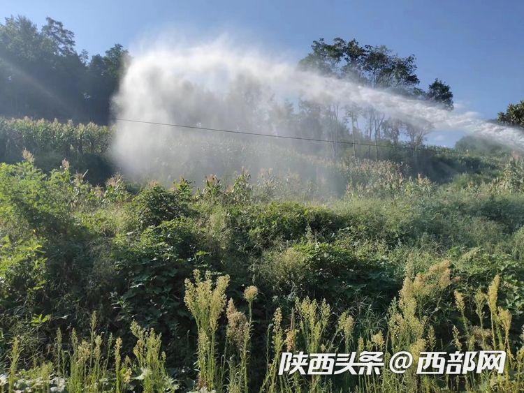 吃瓜91，吃瓜91影片 吃瓜影片内容获取门槛低