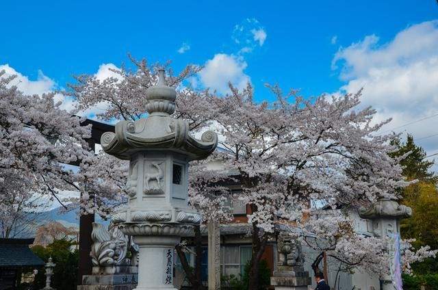 短剧黑料 短剧黑料却能高效刺激感官