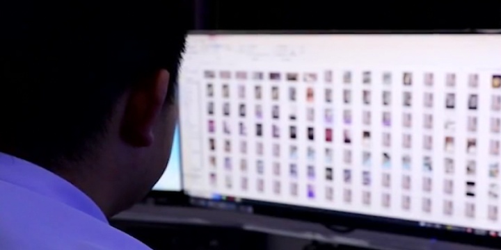 里番动漫在线看