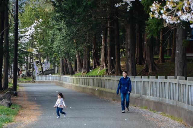 95selang 用户反馈持续推动创新