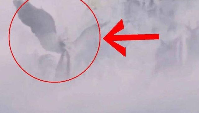 视频 电影院 电影或本地影院推荐）