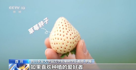 国产在线无码精品麻豆不卡 线无确保播放时不卡顿