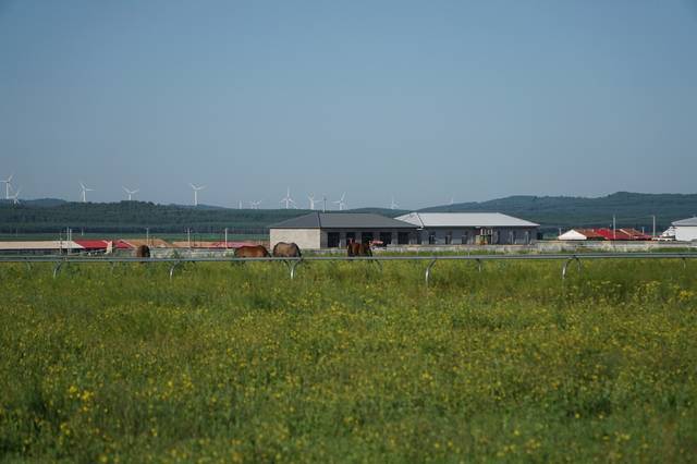 清新背影 一半是清新背影未抵达的远方