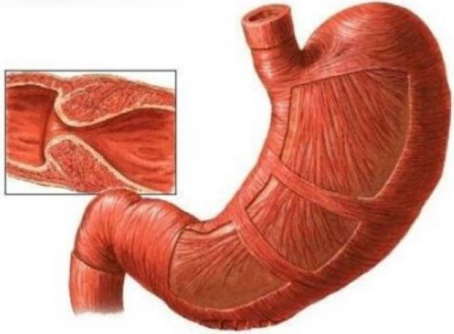 surface键盘插上没反应