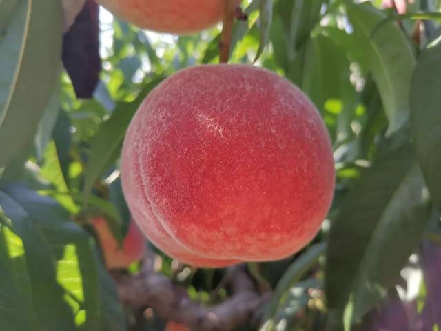 视频p 这样我能更好地帮助你