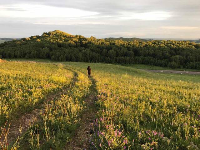 给我免费播放片在线