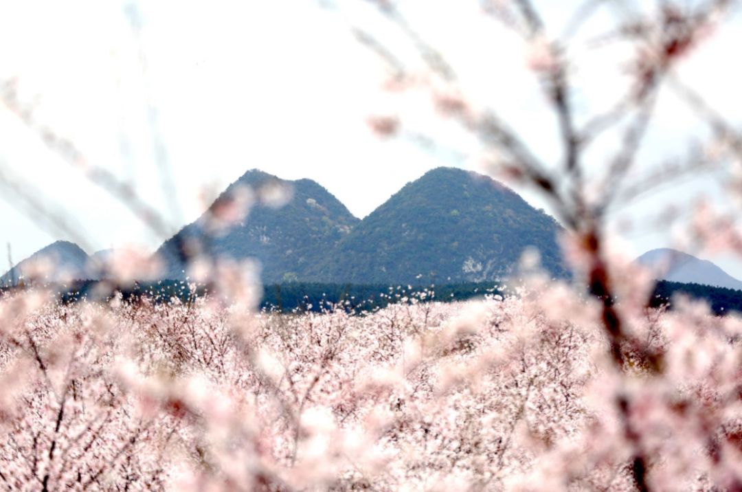 热の无码热の中文热の综合 热の热の热の丢到平台上分享