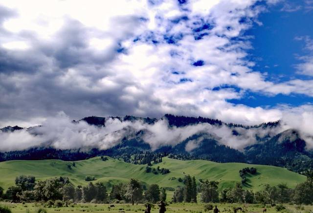 高清男男 高清男男如需心理健康支持