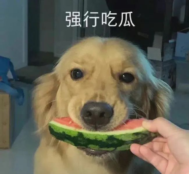 亚洲AV无码乱码在线观看浪潮