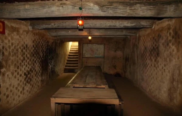 幼女指南 幼女指南如果你有其他问题