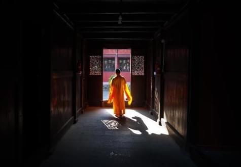 半臀山 我还没有学会回答这个问题