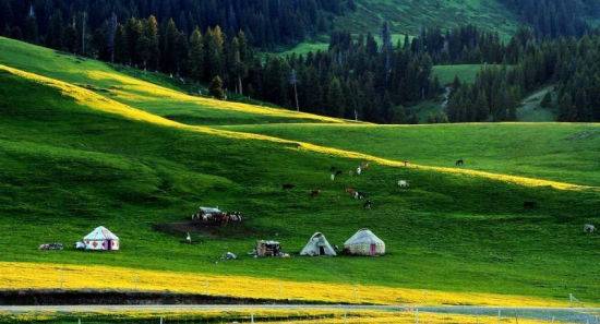 第四色播日韩AV第一页