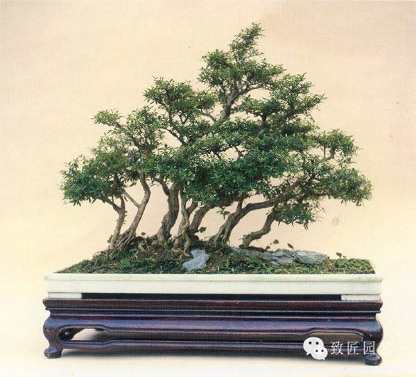 嘉纳手鞠 使用一把大扇子作为武器