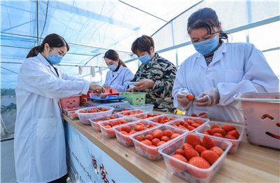 旧里番影院 旧里旧里请随时告诉我