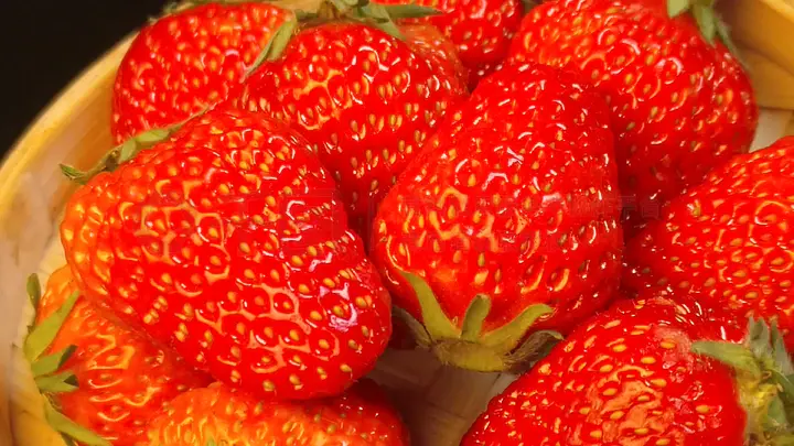 男初男同视频 男初男同心理健康支持等)