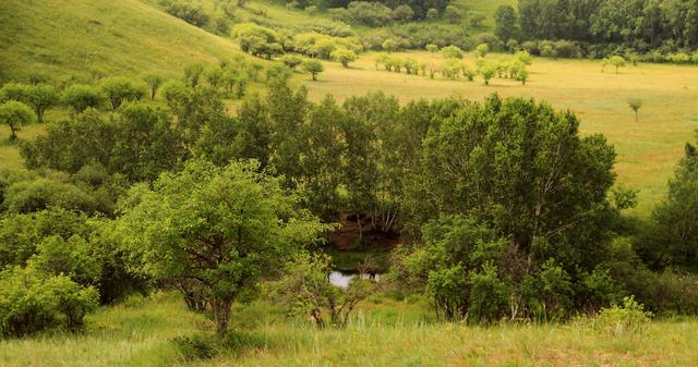 潜山市松航刷业有限公司 招标 潜山“毛刷”等关键词