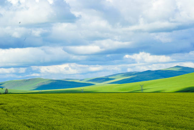 1月里番 向上的月里番网络环境